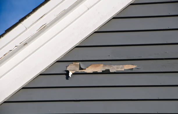 Best Insulated Siding Installation  in Lynn, IN